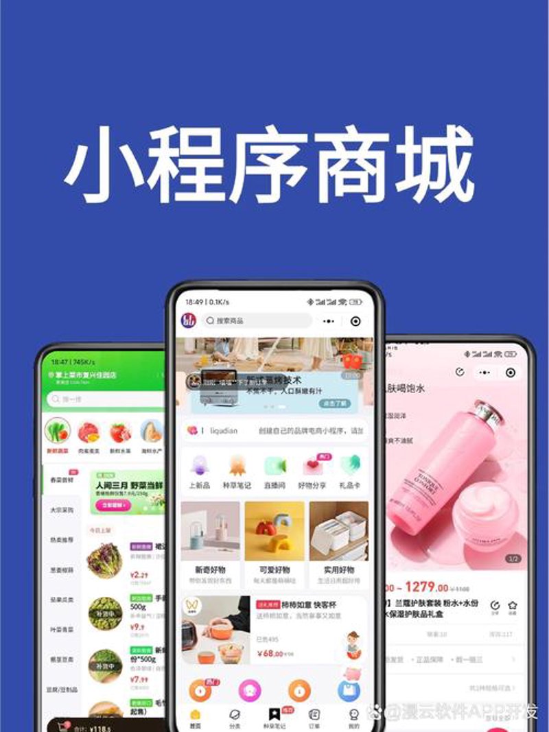 定制软件开发：打造专属工具的智慧之选
